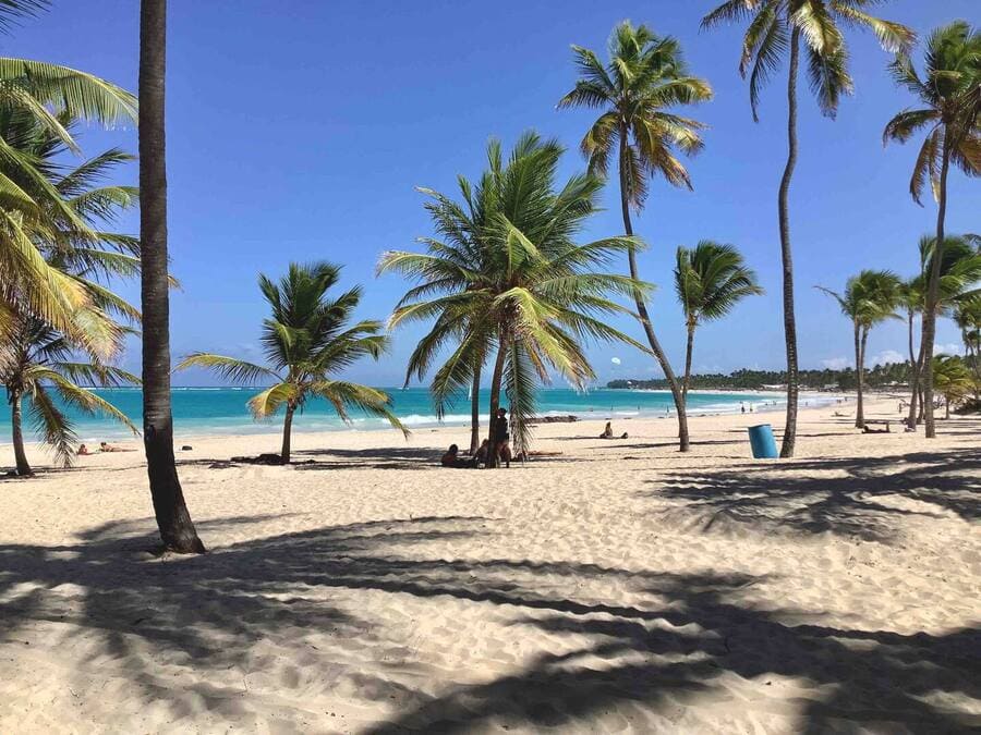 71f36621-6ae9-4265-a78b-e6461a250535