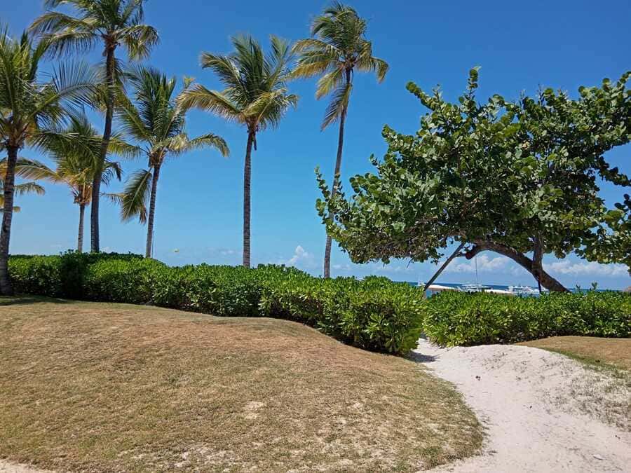 beachfront-condo-rent-cabeza-toro-bavaro-punta-cana (3)