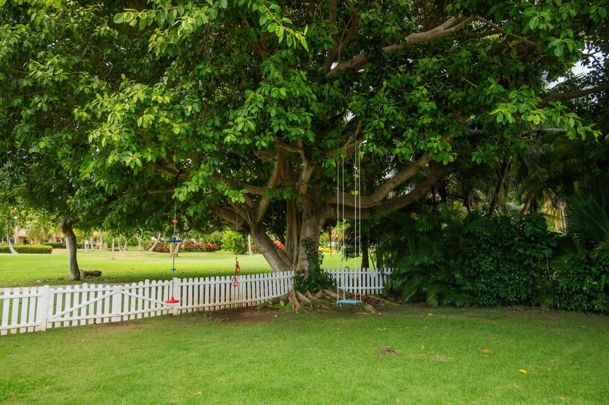 amazing-villa-for-sale-cocotal-bavaro (13)