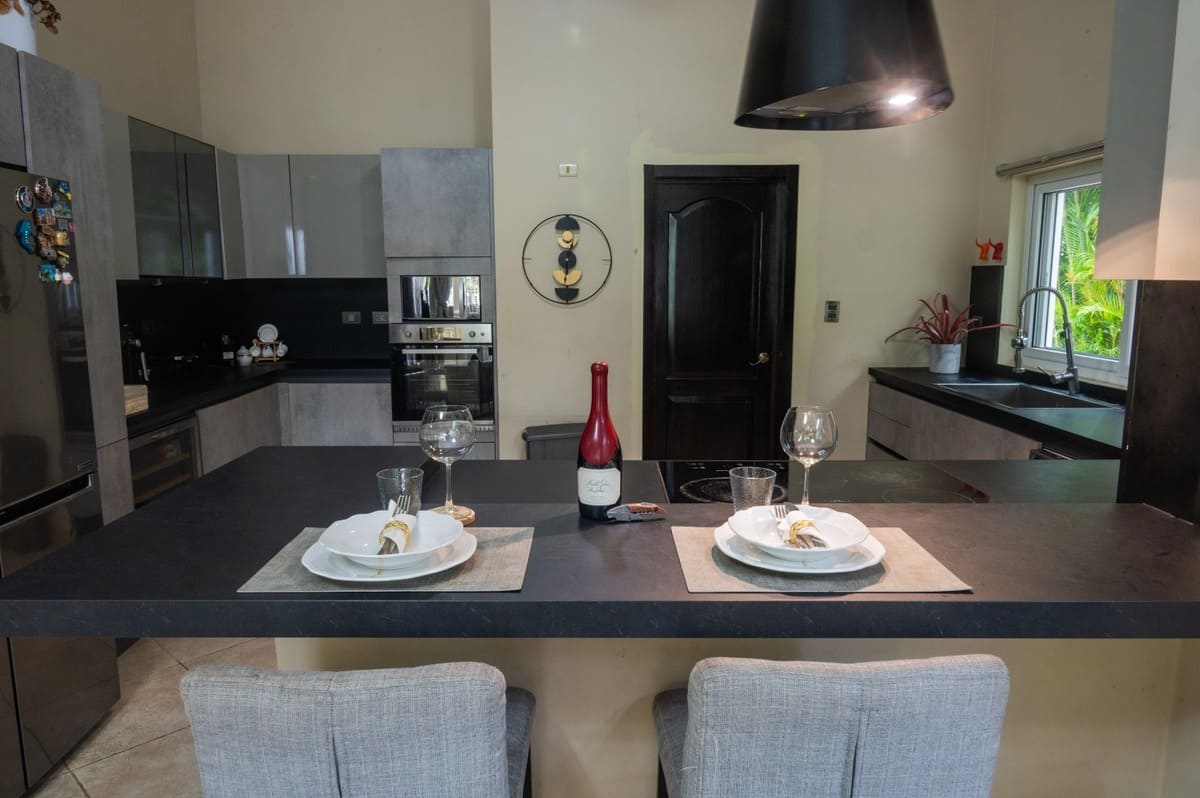 amazing-villa-for-sale-cocotal-bavaro (4)